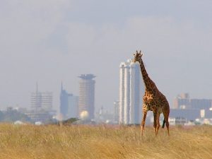 Vliegtijd Nairobi